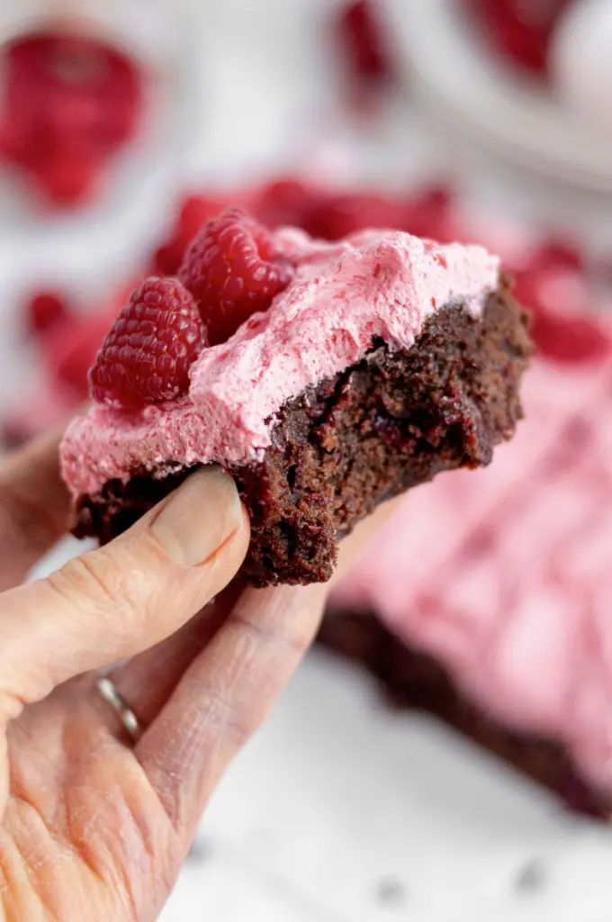 Raspberry Desserts - The Nomad Plate