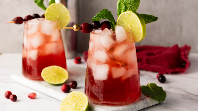 Cranberry Lime Mocktail