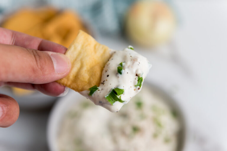 Caramelized Onion Dip